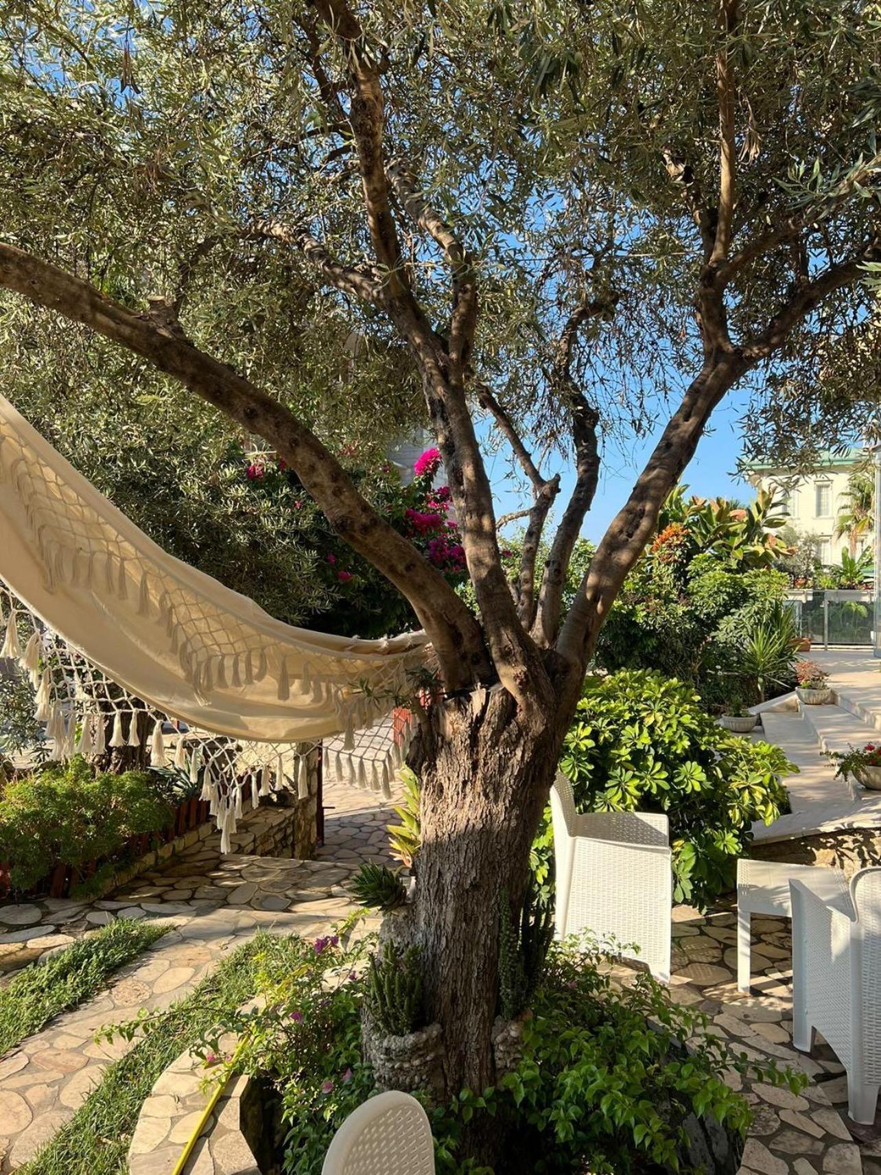 Hotel Orange Dhermi Exterior photo