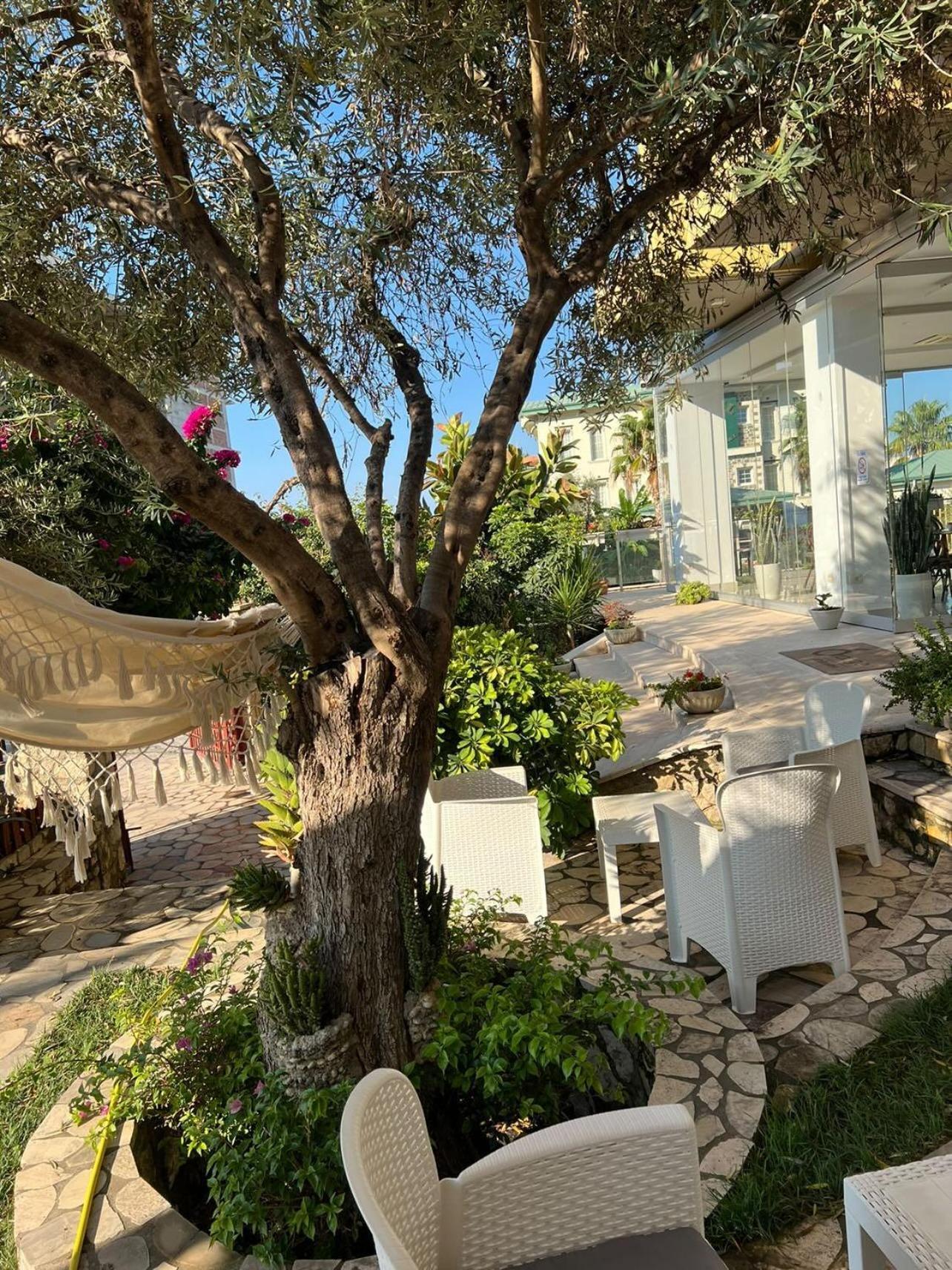 Hotel Orange Dhermi Exterior photo