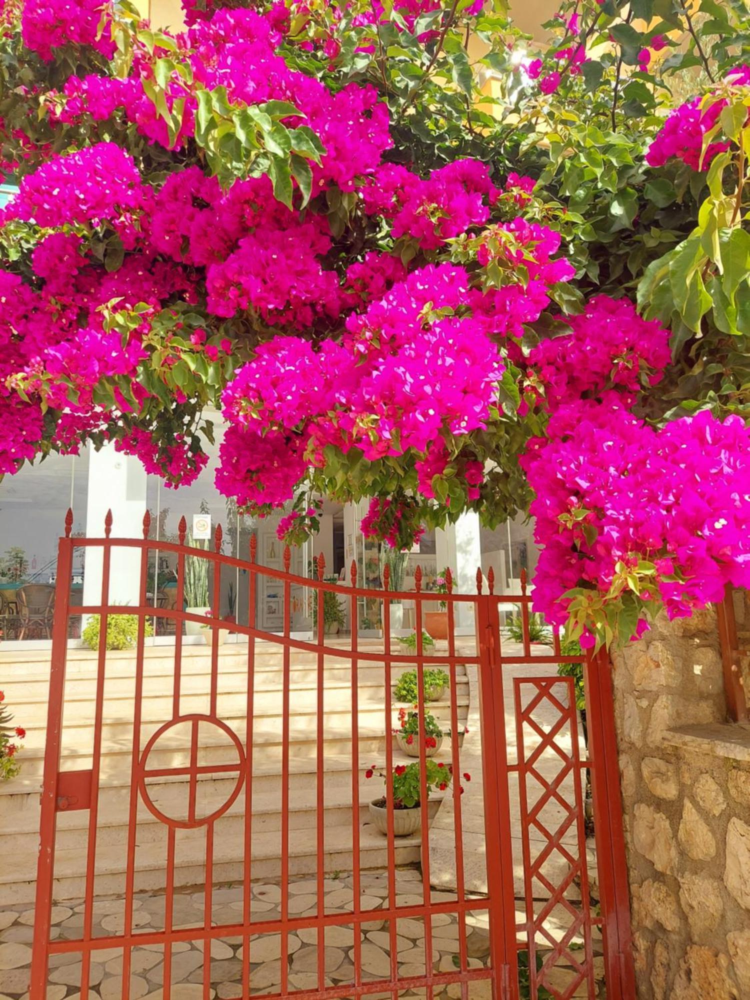 Hotel Orange Dhermi Exterior photo